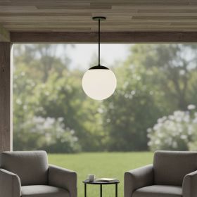 Black And White Frosted LED Dimmable Outdoor Hanging Light With Black Shades