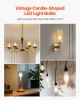 VEVOR LED Candelabra Bulbs, 12-Pack Dimmable Chandelier Light Bulbs, Vintage Clear Glass Candle Light Bulb with 2725K Warm Lighting
